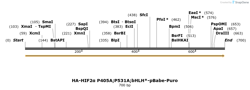28050_map