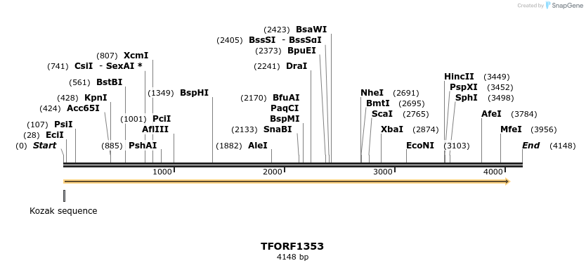 280508_map