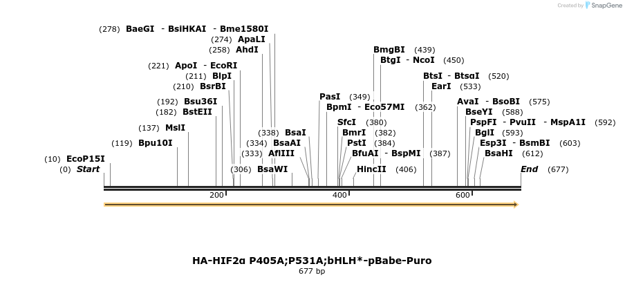28051_map