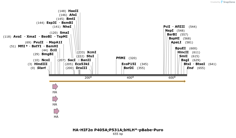 28052_map