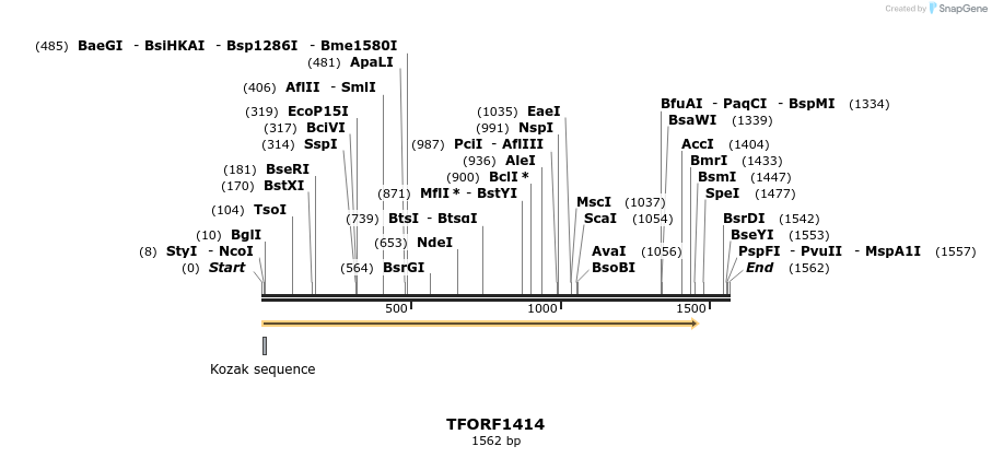 280520_map