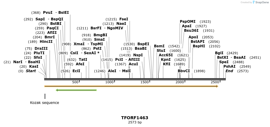 280532_map