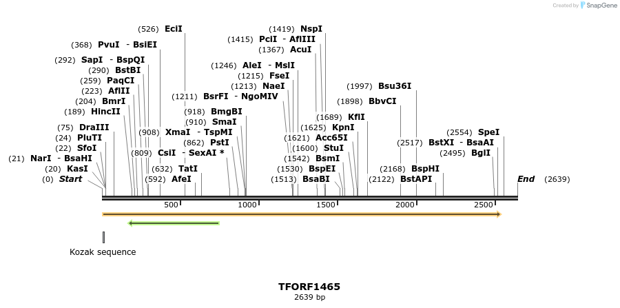 280535_map