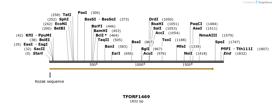 280538_map