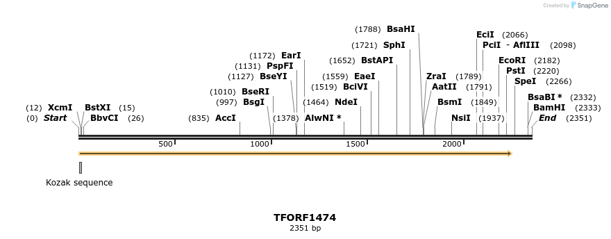 280541_map