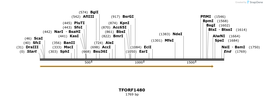 280544_map