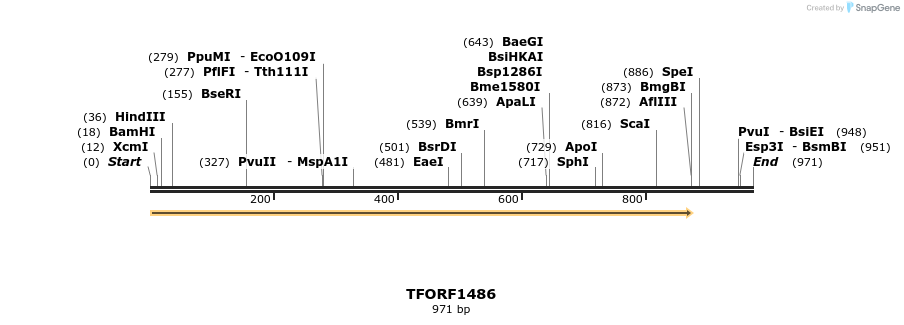 280547_map