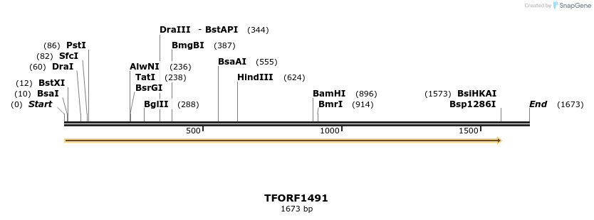 280550_map