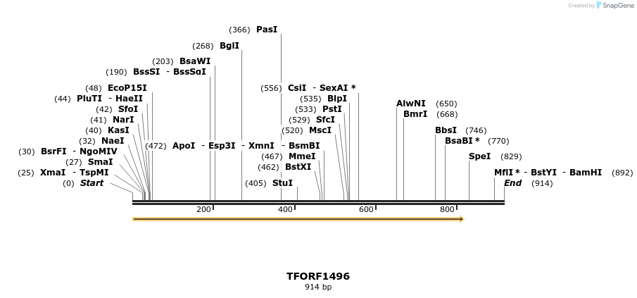 280553_map