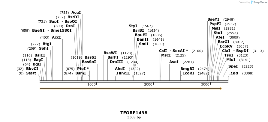 280556_map