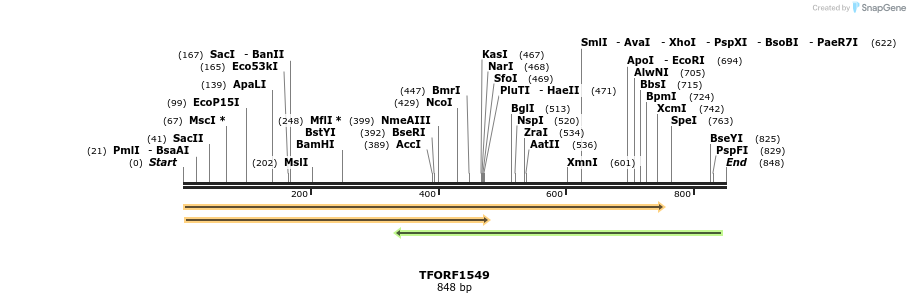 280559_map