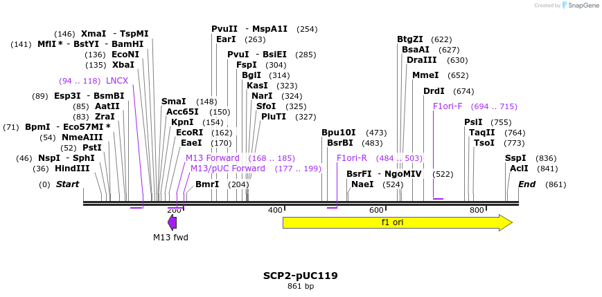 28056_map