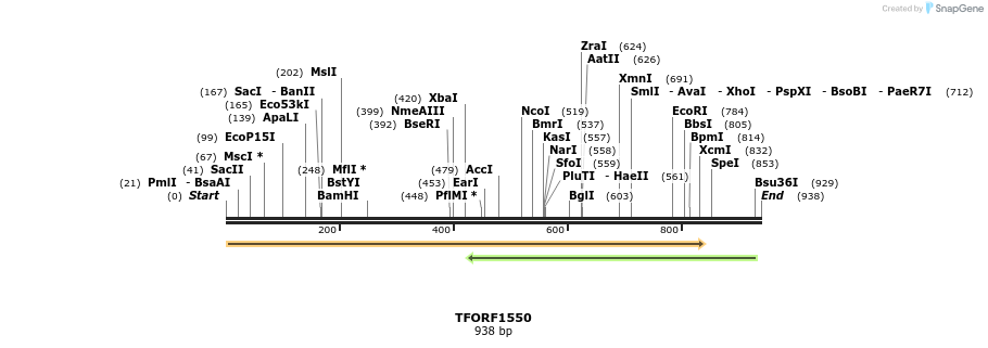 280562_map