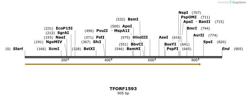 280565_map