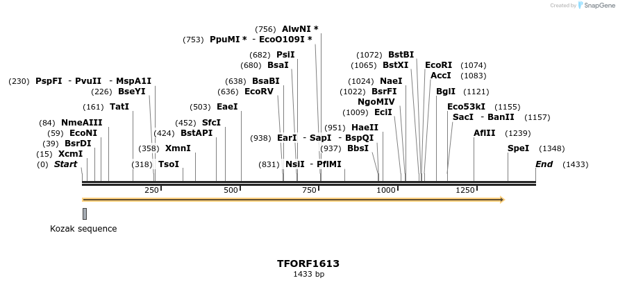280568_map