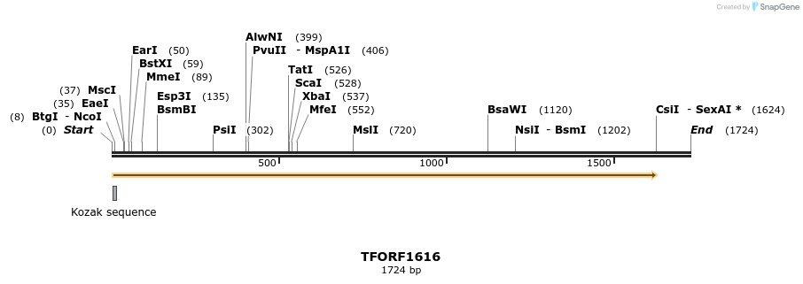 280571_map