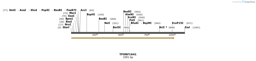 280577_map