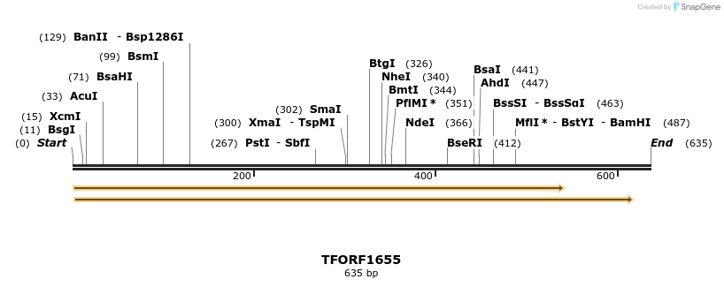 280589_map