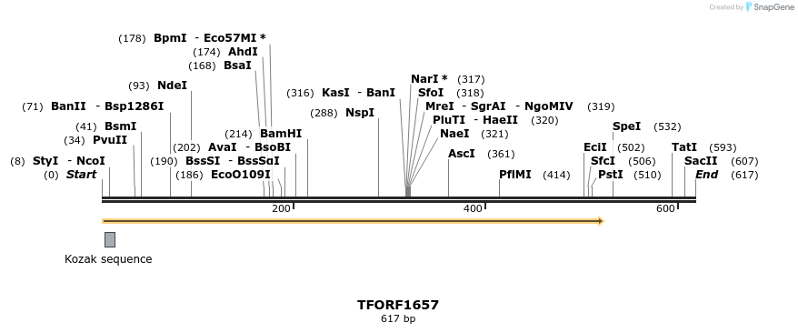 280592_map