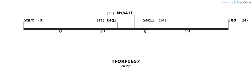 280593_map