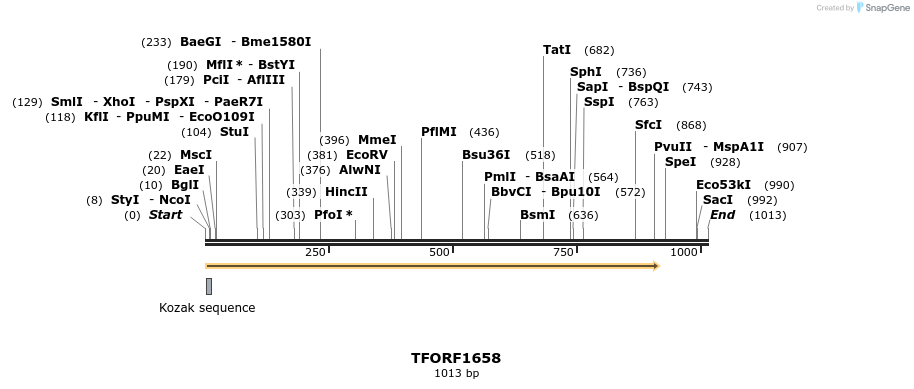 280595_map