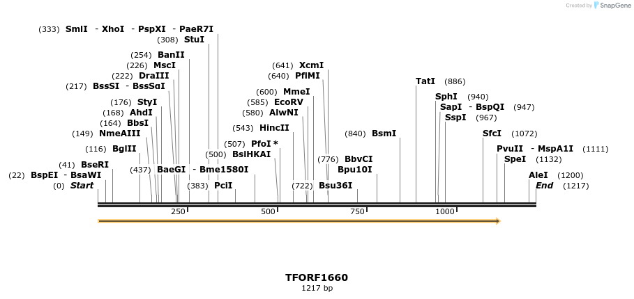 280598_map