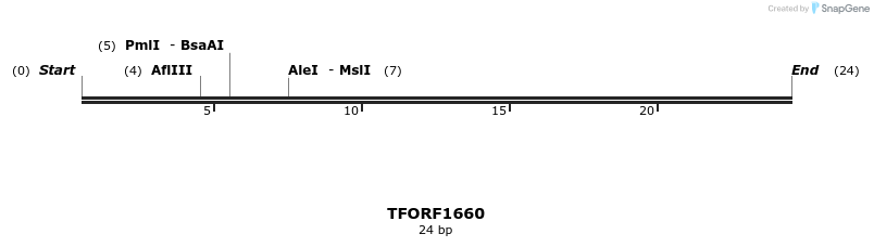 280599_map