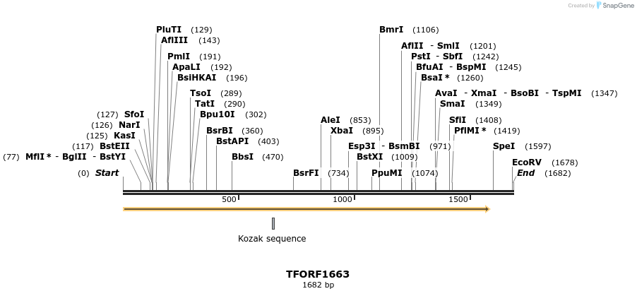 280601_map