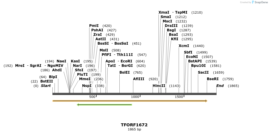 280607_map