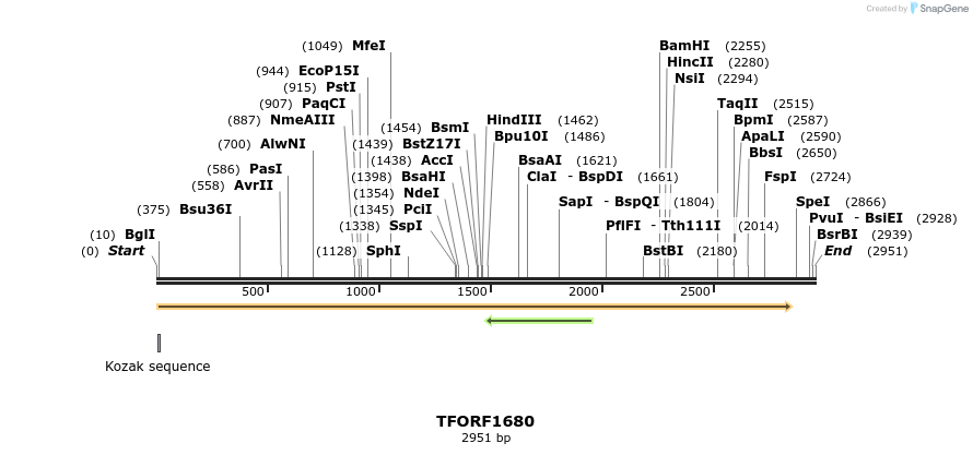 280610_map