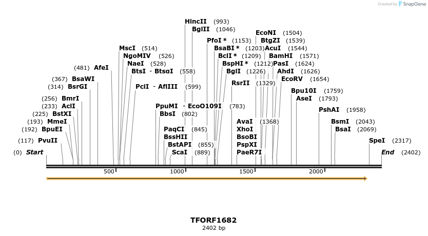 280613_map