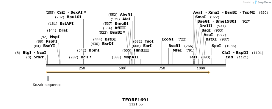 280619_map