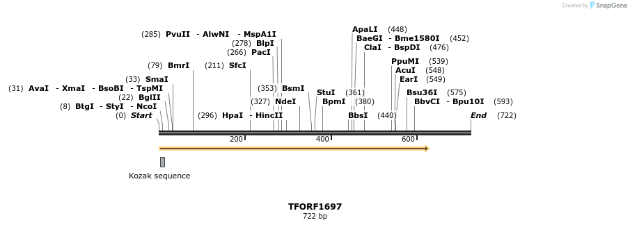 280625_map