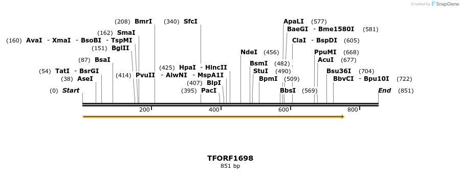 280628_map