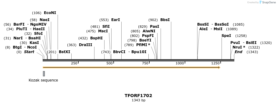 280631_map