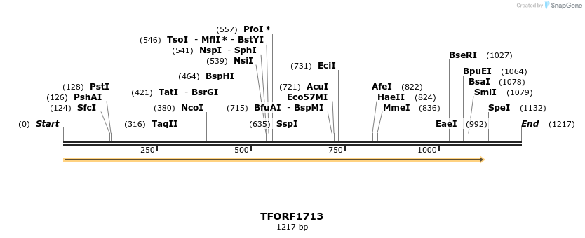 280634_map