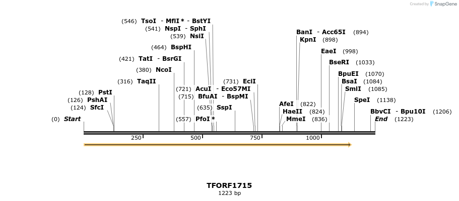 280637_map