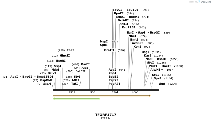 280640_map