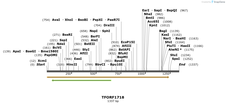 280643_map