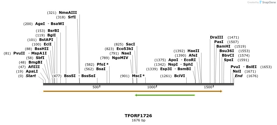 280646_map