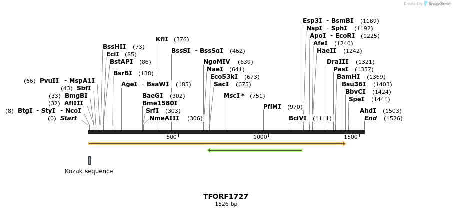 280649_map