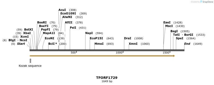 280652_map