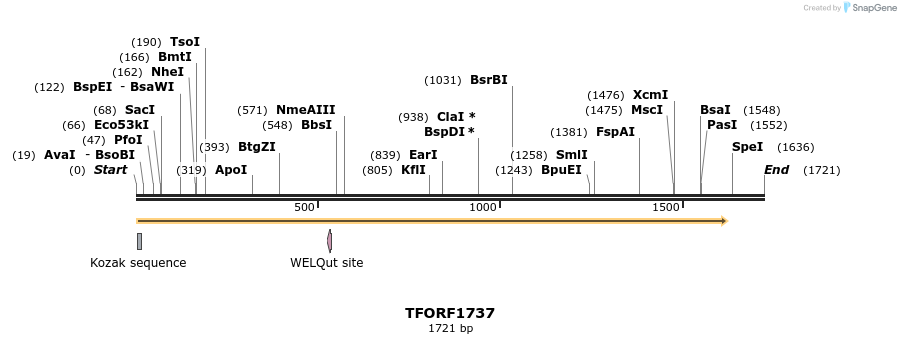 280655_map
