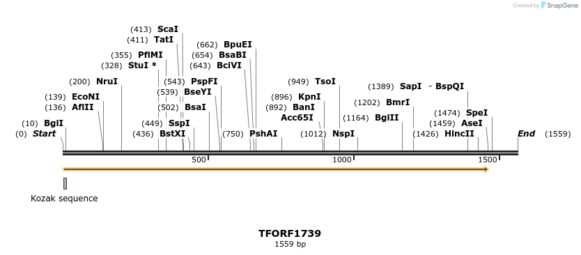 280658_map