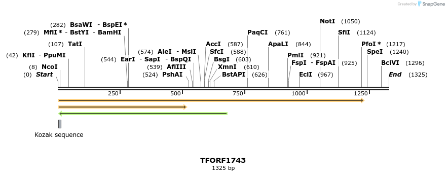280661_map