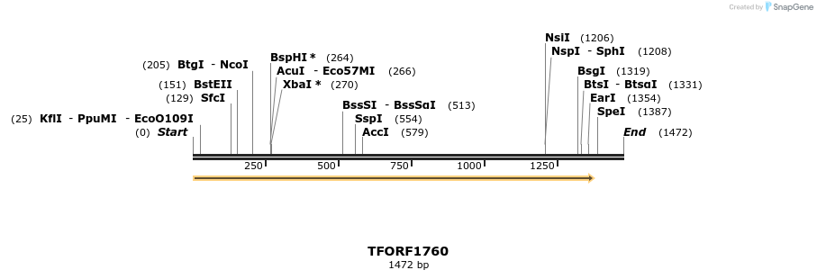 280664_map