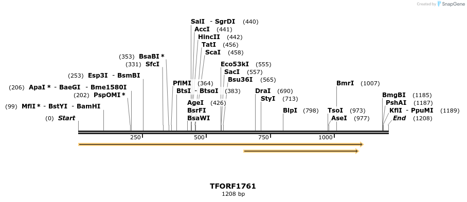 280667_map