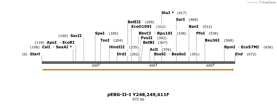 28068_map