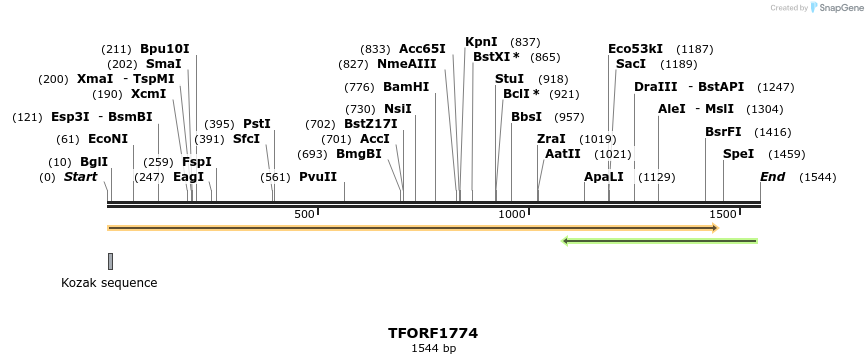 280685_map