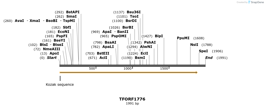 280688_map